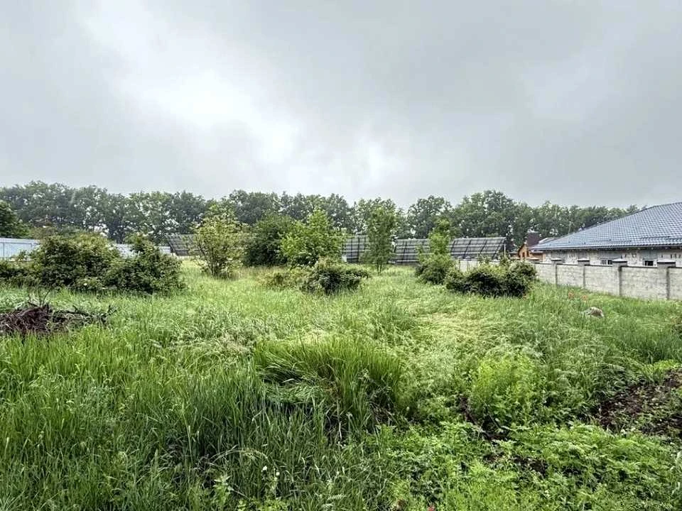 Ділянка. Кропивницький, Тіниста