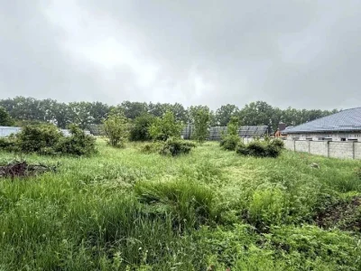 Ділянка. Кропивницький, Тіниста