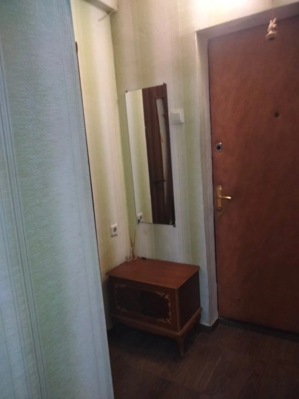 Оренда 1-кімнатної квартири 25 м², Мілютенка вул., 46