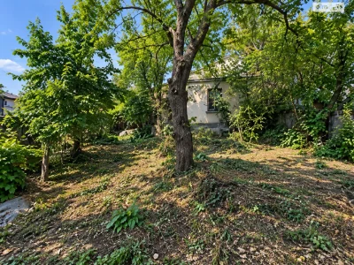 Продаж Дім Чорна Гора