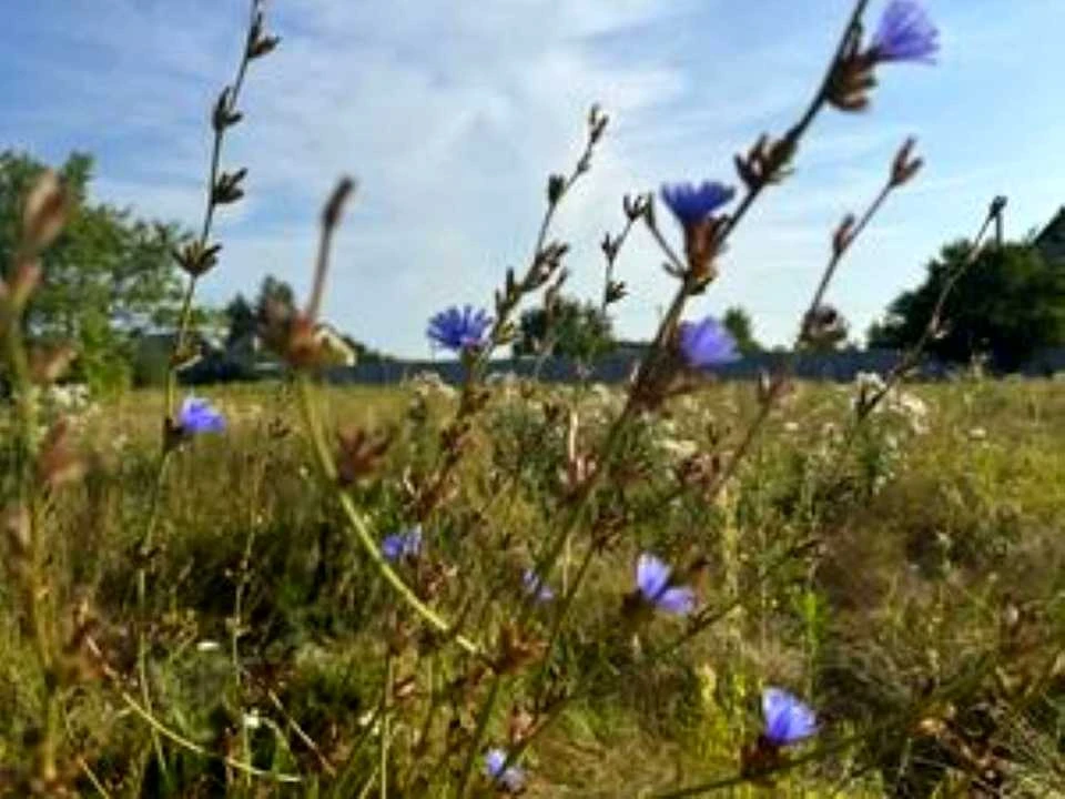 Ділянка. Дніпро, Андрія Сахарова вул.