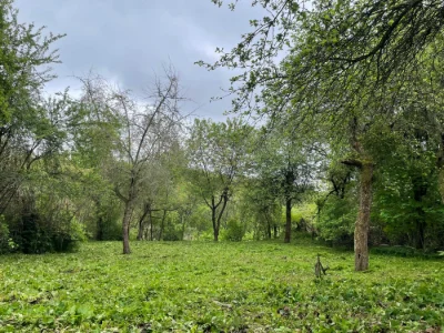Продаж ділянки вулиця П. Орлика, 3-й Топольний провулок, Топ