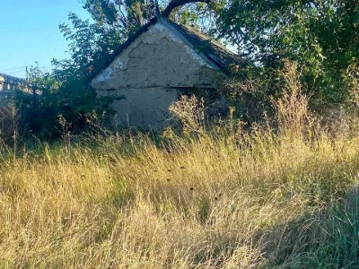 Ділянка. Дніпро, великий луг