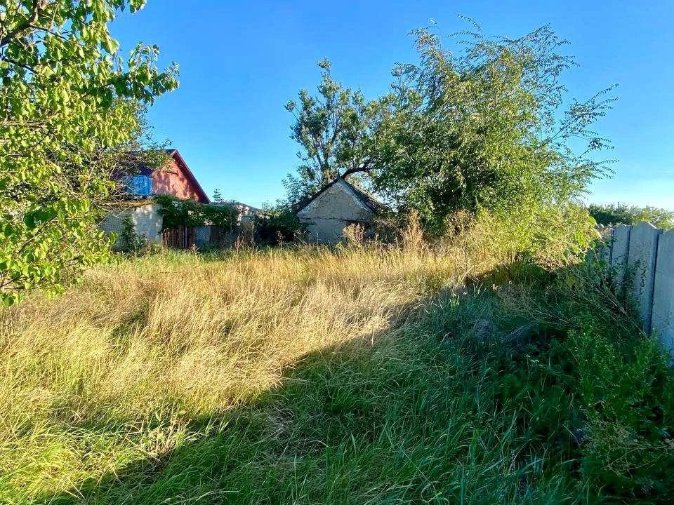 Ділянка. Дніпро, великий луг