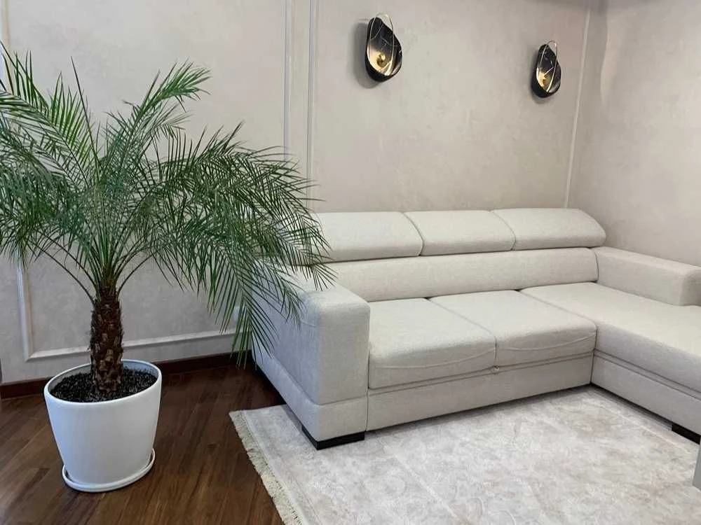 tir-31 Аркадия / Тенистая / с террасой 170 м² и видом на мор