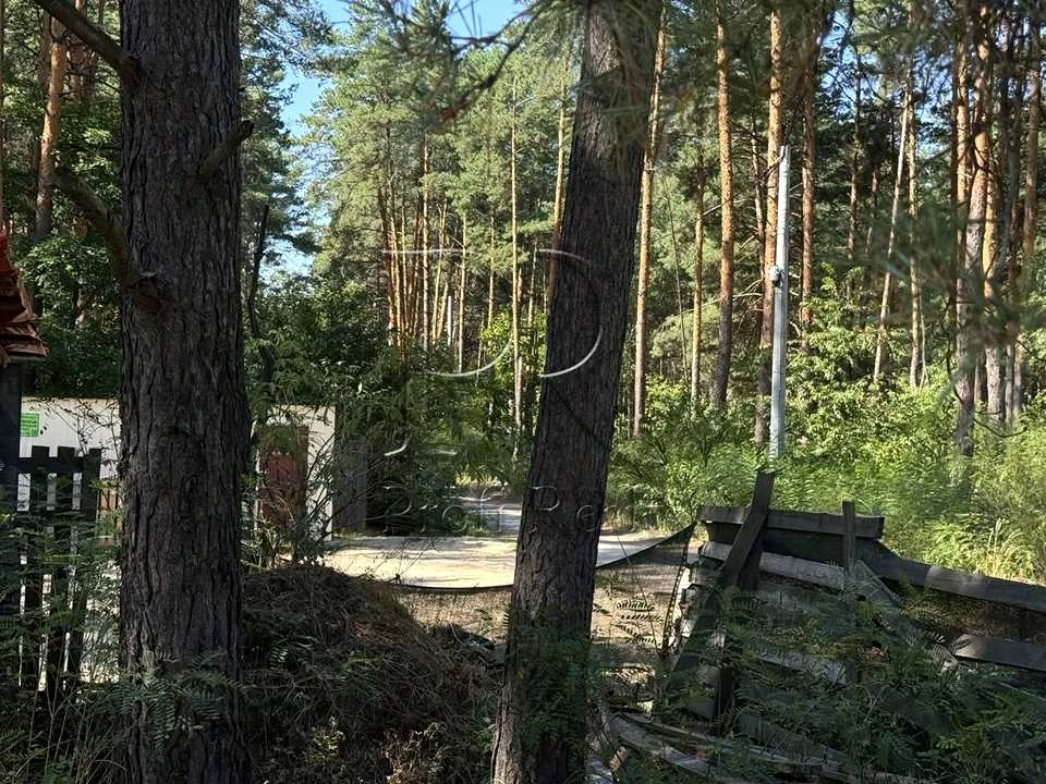 Ділянка. Київ, Садовий провулок