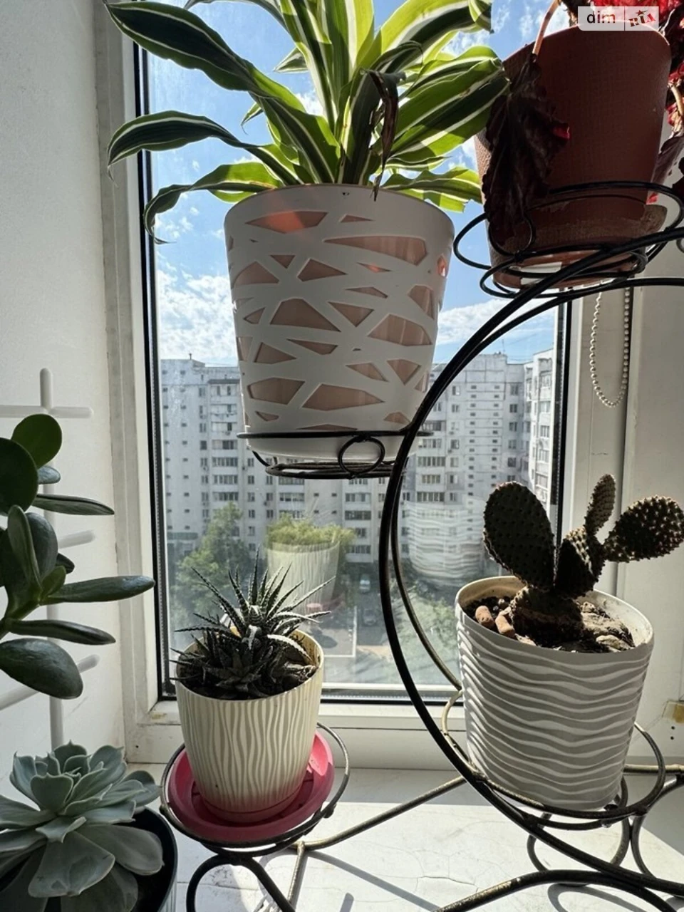 Продаж Квартира Курсаки