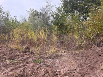Продам земельну ділянку, Голосієво,  Лисогірський провулок,