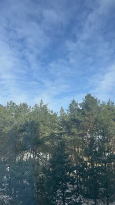 1к Продаж Квартири  з ремонтом  ЖК Лісова Казка Деснянський