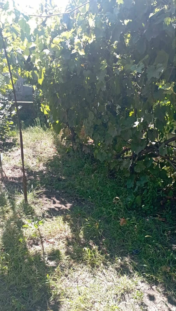 Продам дом одноэтажный
