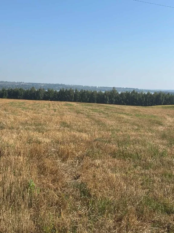 Інвестиційний проект котеджного містечка на березі водосхови