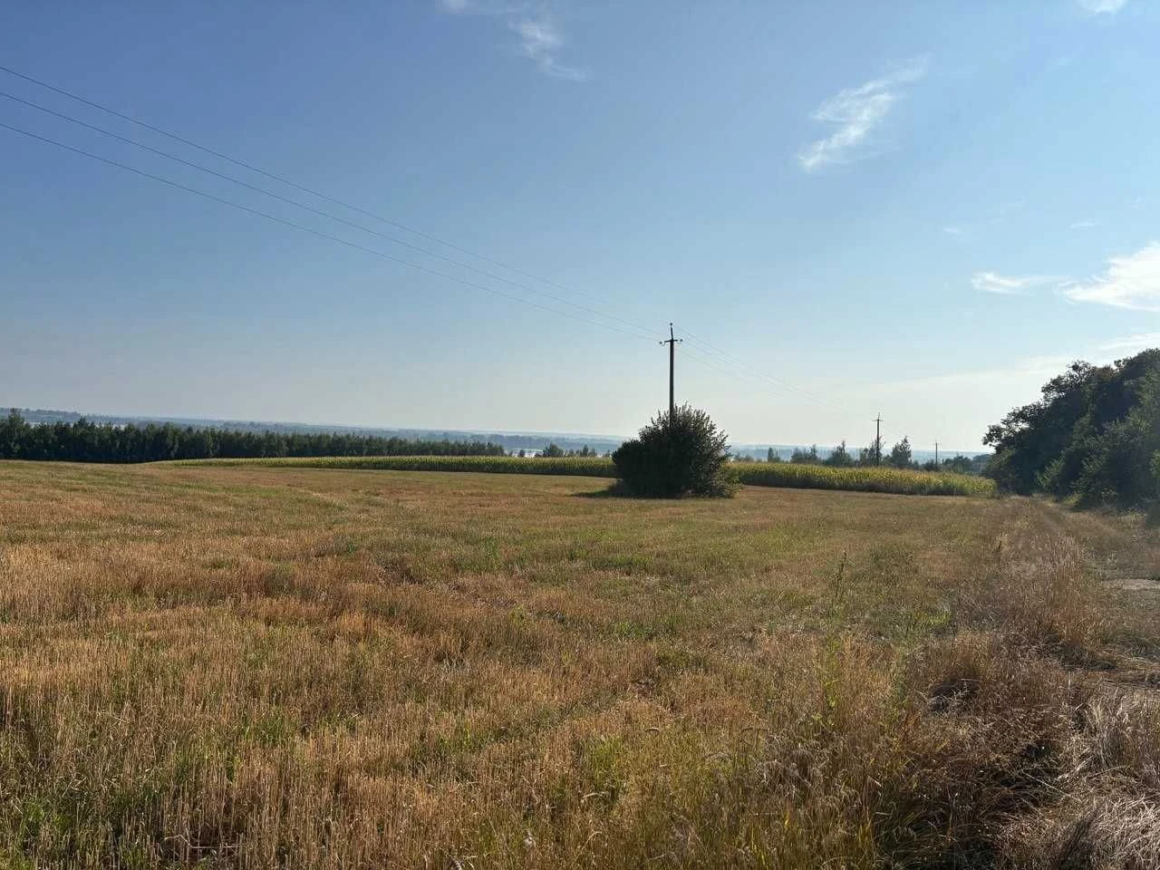 Інвестиційний проект котеджного містечка на березі водосхови