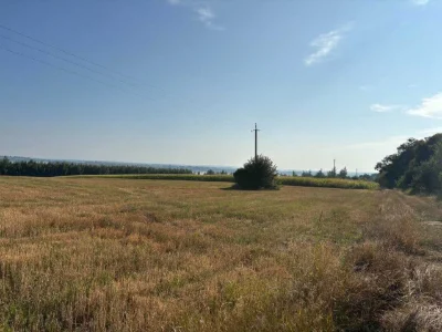 Інвестиційний проект котеджного містечка на березі водосхови