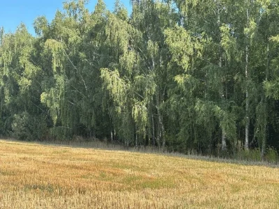 Інвестиційний проект котеджного містечка на березі водосхови