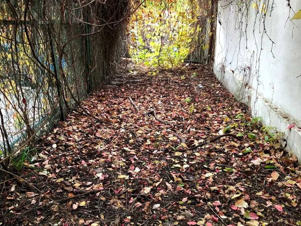 Ділянка. Одеса, Фонтанська дорога вул. (Перекопской дивизии