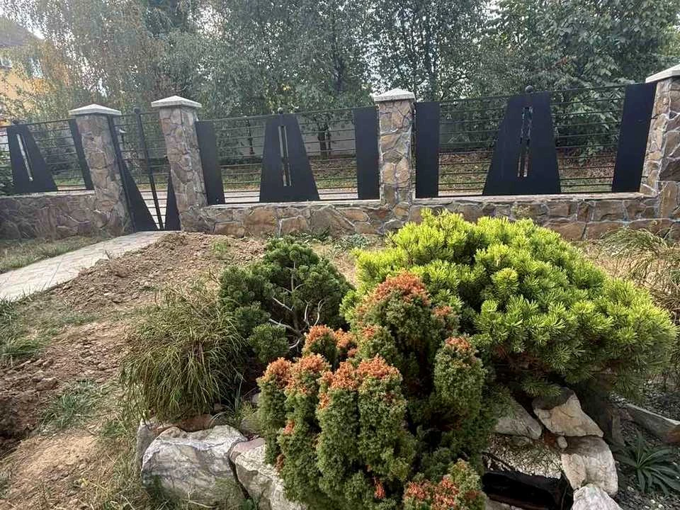 Будинок. Ужгород, Березова вул.