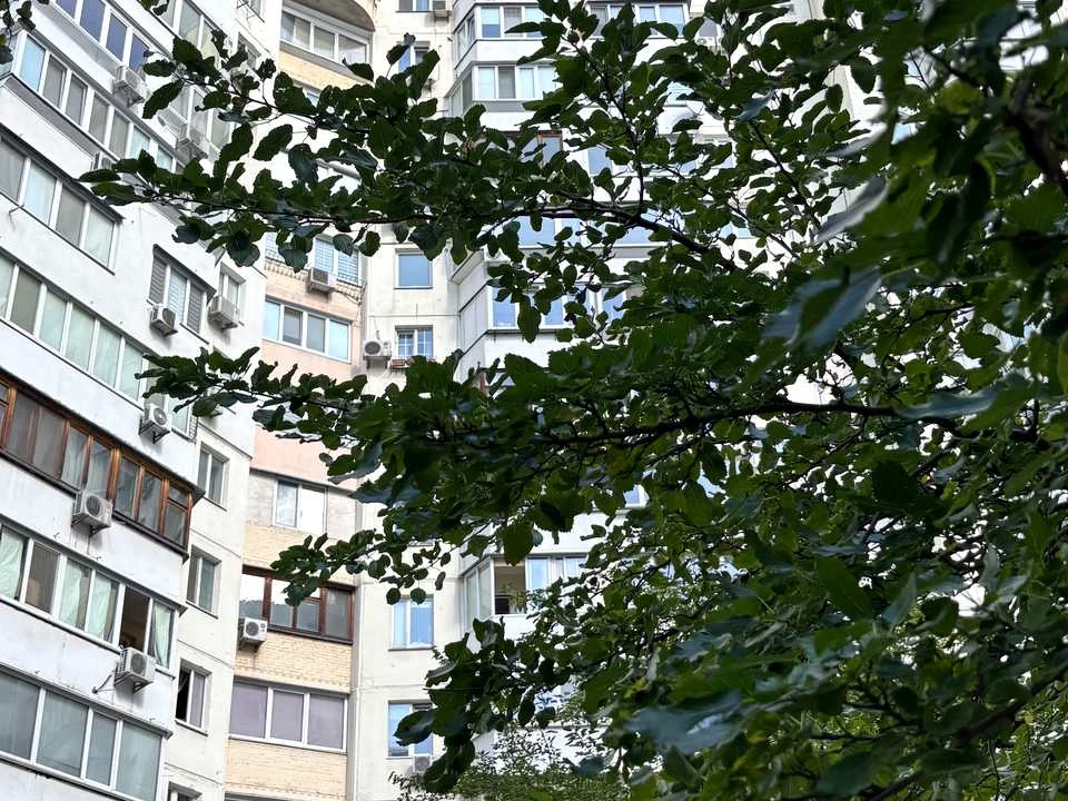Квартира. Київ, Левка Лук'яненка вул. (Маршала Тимошенка)
