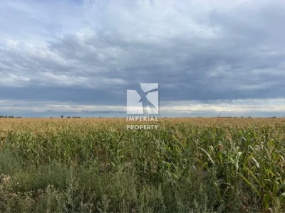 Продаж великої земельної ділянки площею 50 гектарів у страте