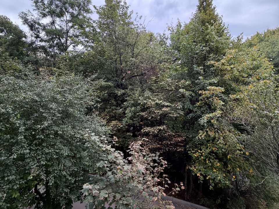 Квартира. Львів, Пасічна вул.