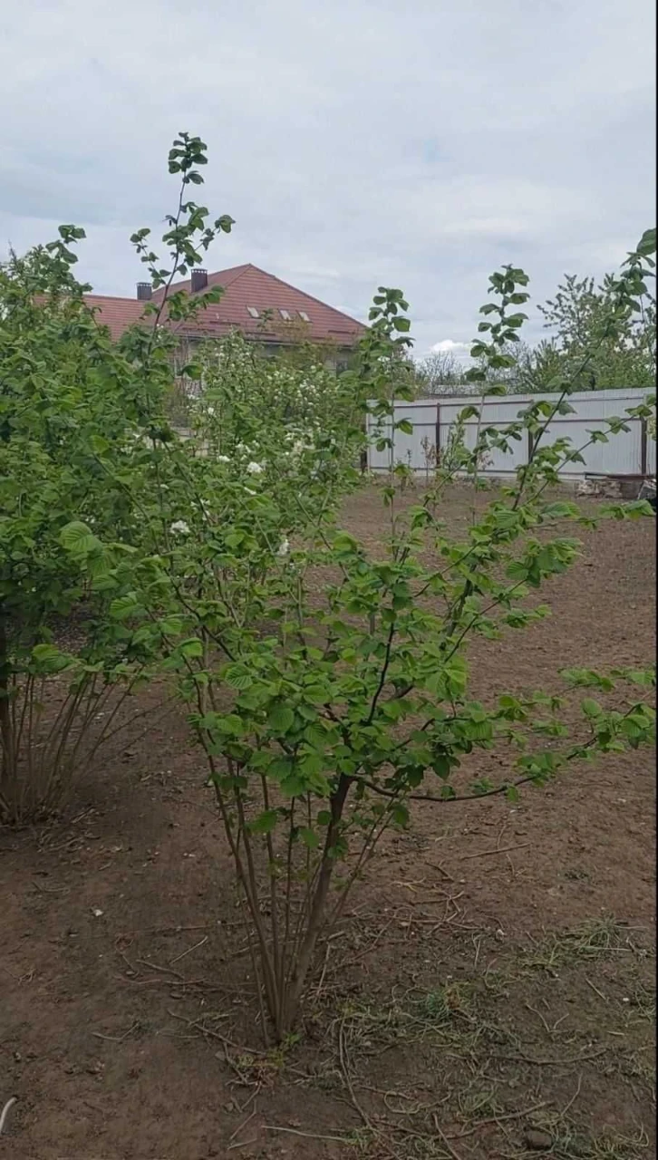 Продам будинок у ст. Усатово
