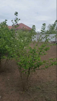 Продам будинок у ст. Усатово