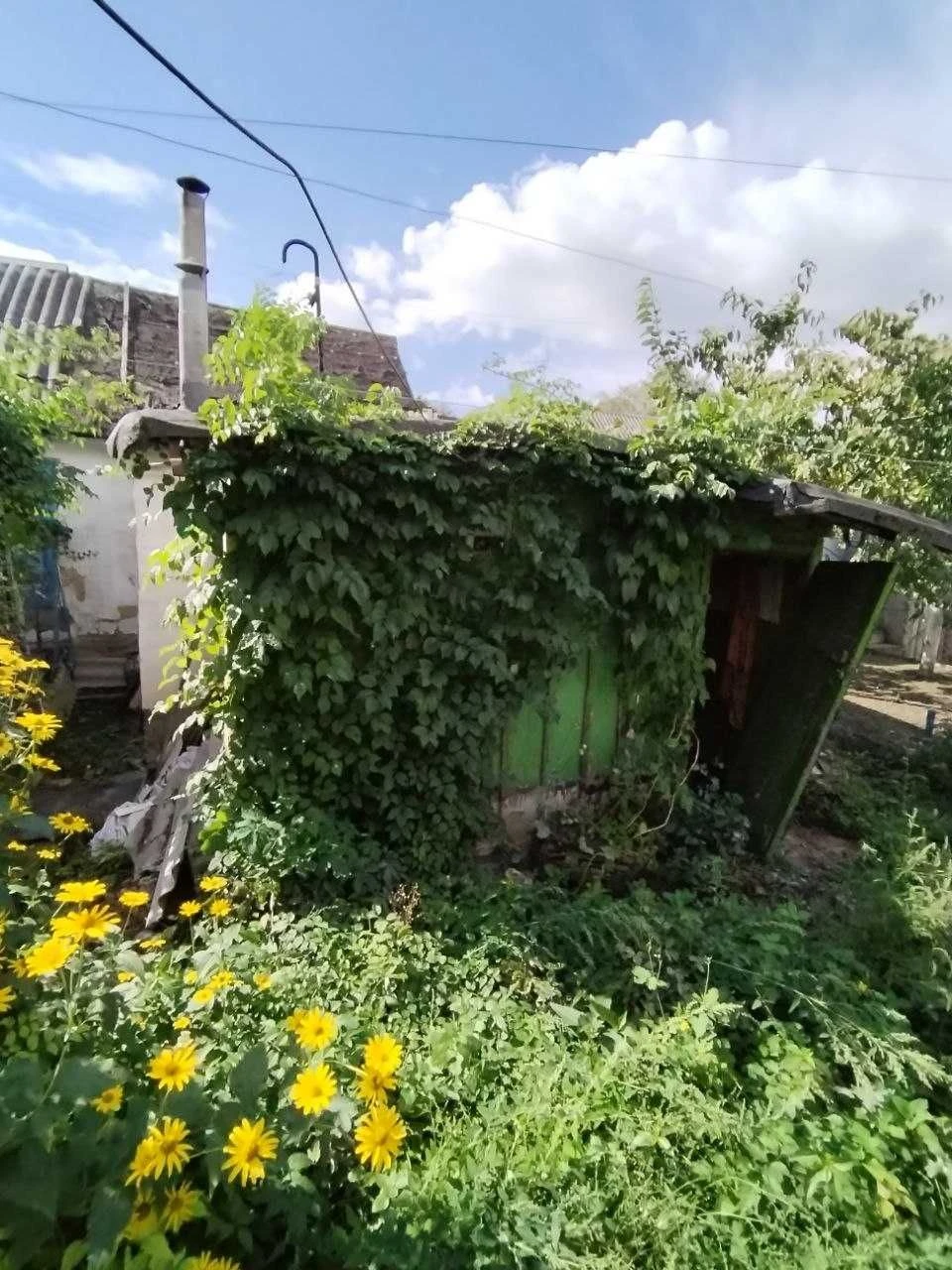 Продаж 1 поверхового будинку з ділянкою на вул. Полуботка Па