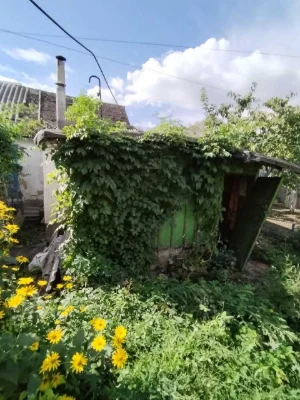 Продаж 1 поверхового будинку з ділянкою на вул. Полуботка Па