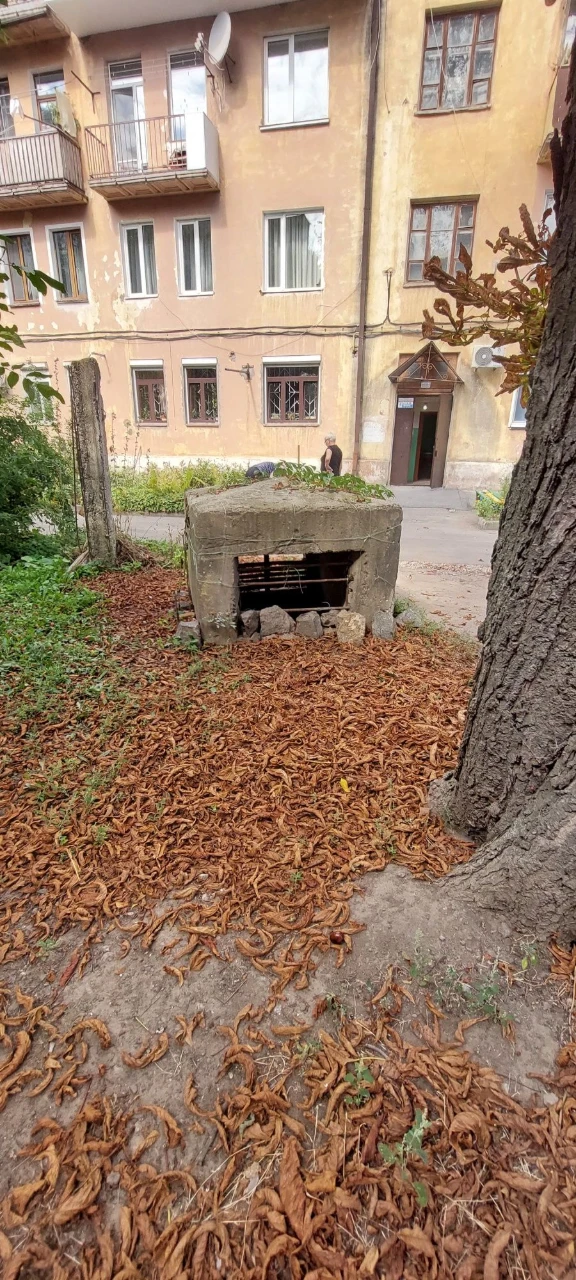 Продаю корди бомбаря