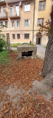 Продаю корди бомбаря