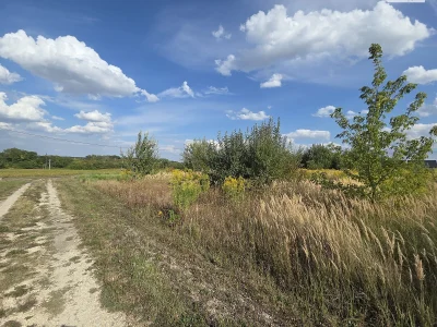 Продаж Земля сільськогосподарського призначення