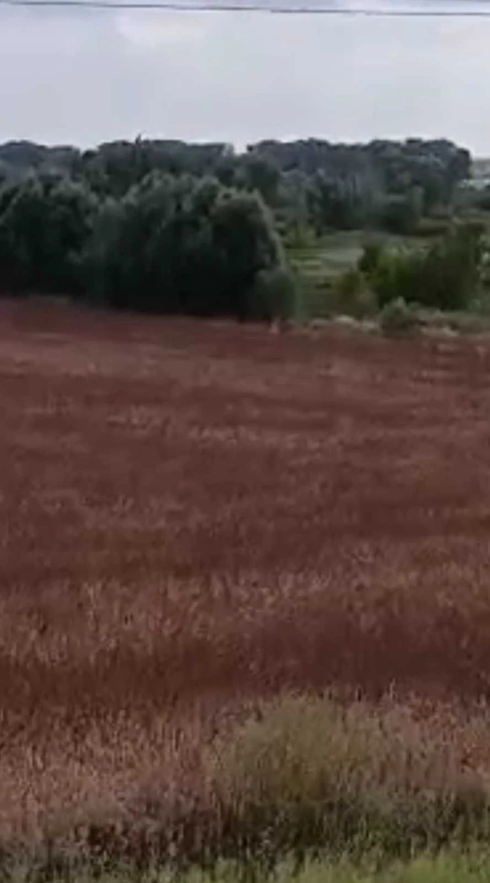 Продаж комерційної земельної ділянки інвестиція в бізнес