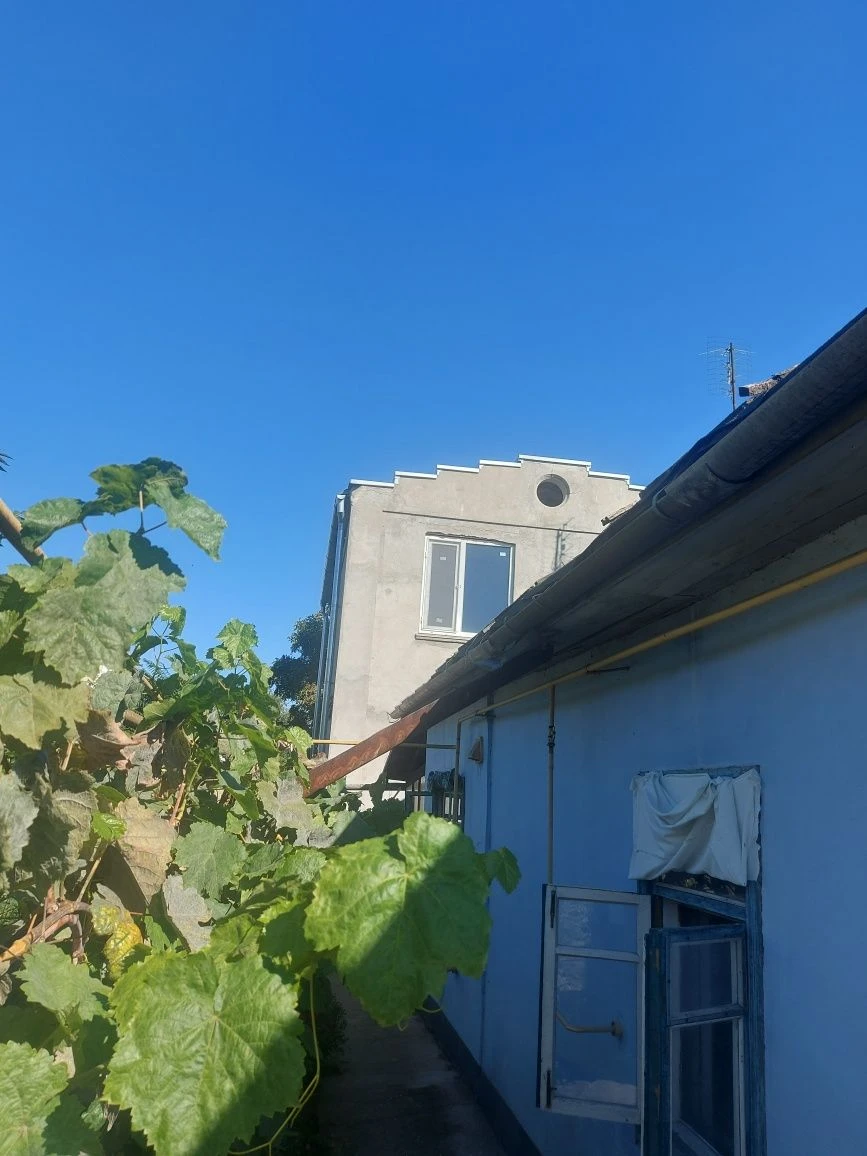 Продаж будинку в Лісках