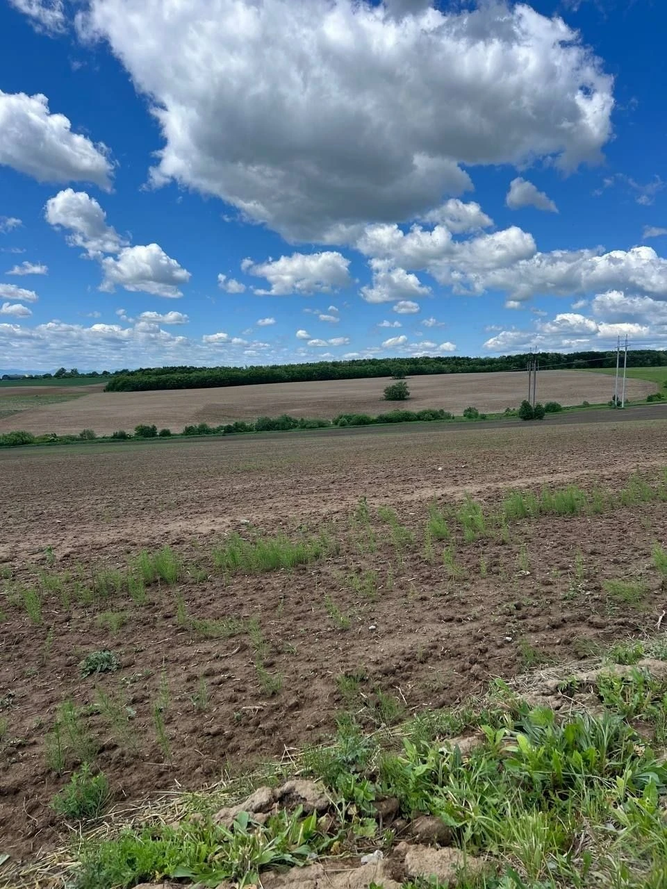 Продається земельна Ділянка поруч Вовчинців