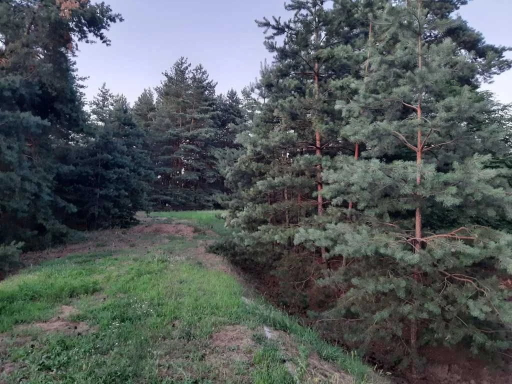 Продаж будинку. Поруч ліс. Сауна. Два види опалення. Велика
