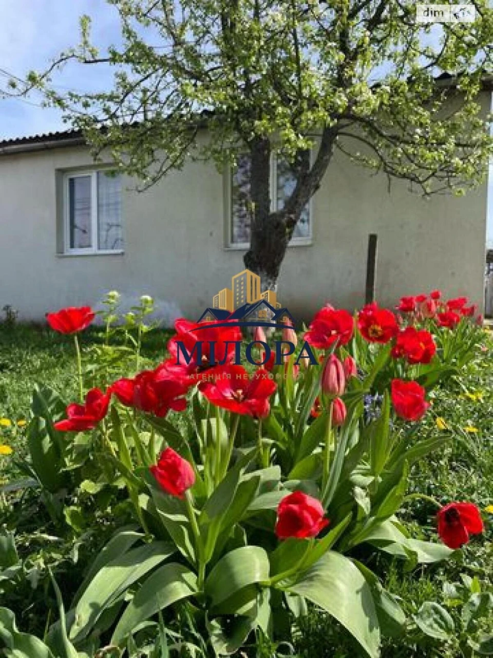 Продаж Дім Новий