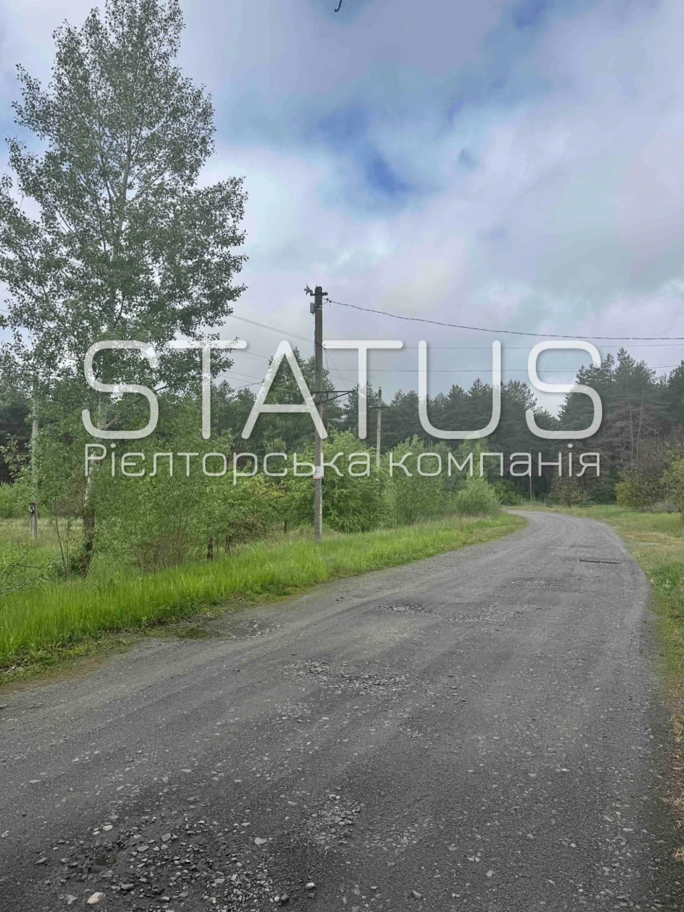 Ділянка біля соснового лісу. Під будівництво.