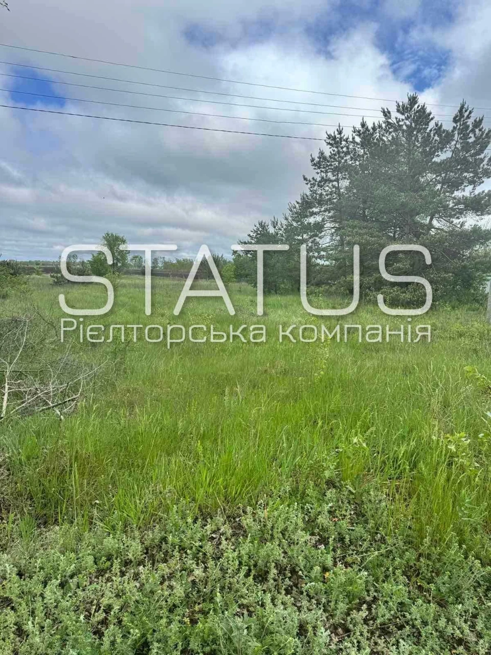 Ділянка біля соснового лісу. Під будівництво.