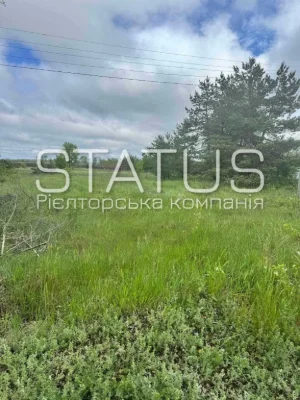 Ділянка біля соснового лісу. Під будівництво.
