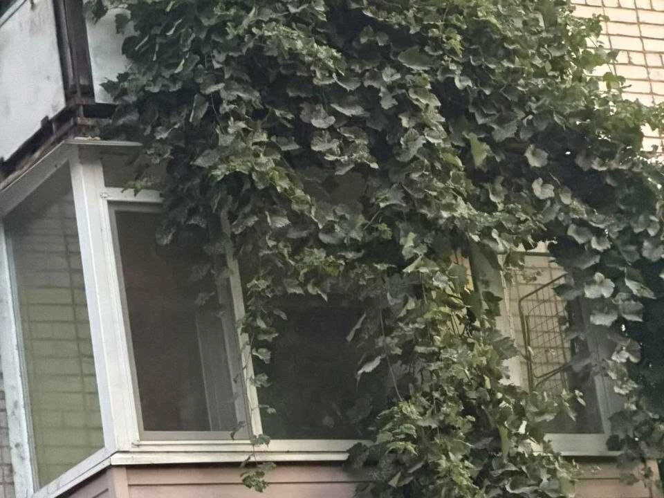 Квартира. Запоріжжя, Валерія Лобановського вул.