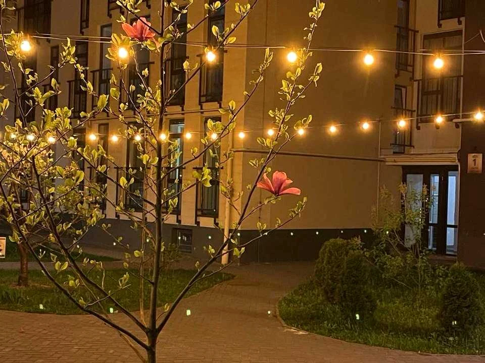 Квартира. Львів, Стрийська вул.