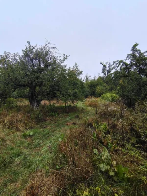 Будинок вулиця Тракт Глинянський бічна
