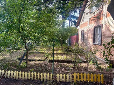 Будинок. Київ, Томаківський пров.