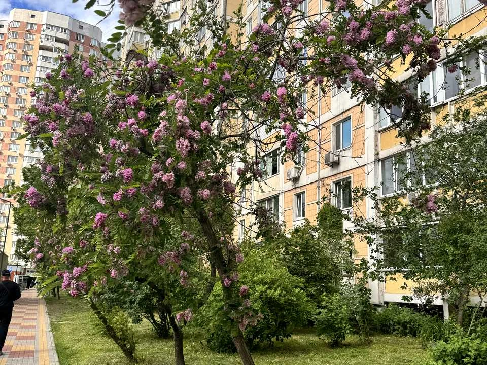 Apartment. Kyiv, Petra Hryhorenka Avenue.