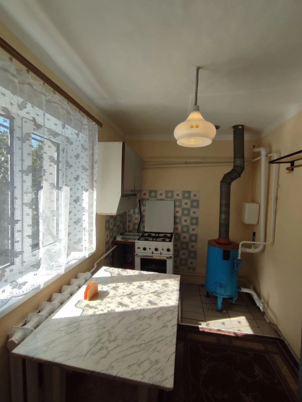 Продаж будинку в Шевченківському районі (Зелений яр)