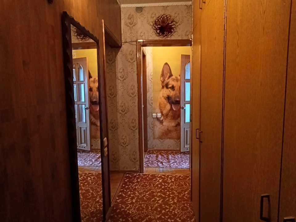 Квартира. Харків, Гарібальді вул.