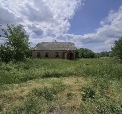 Продаж земельної ділянки біля лісу
