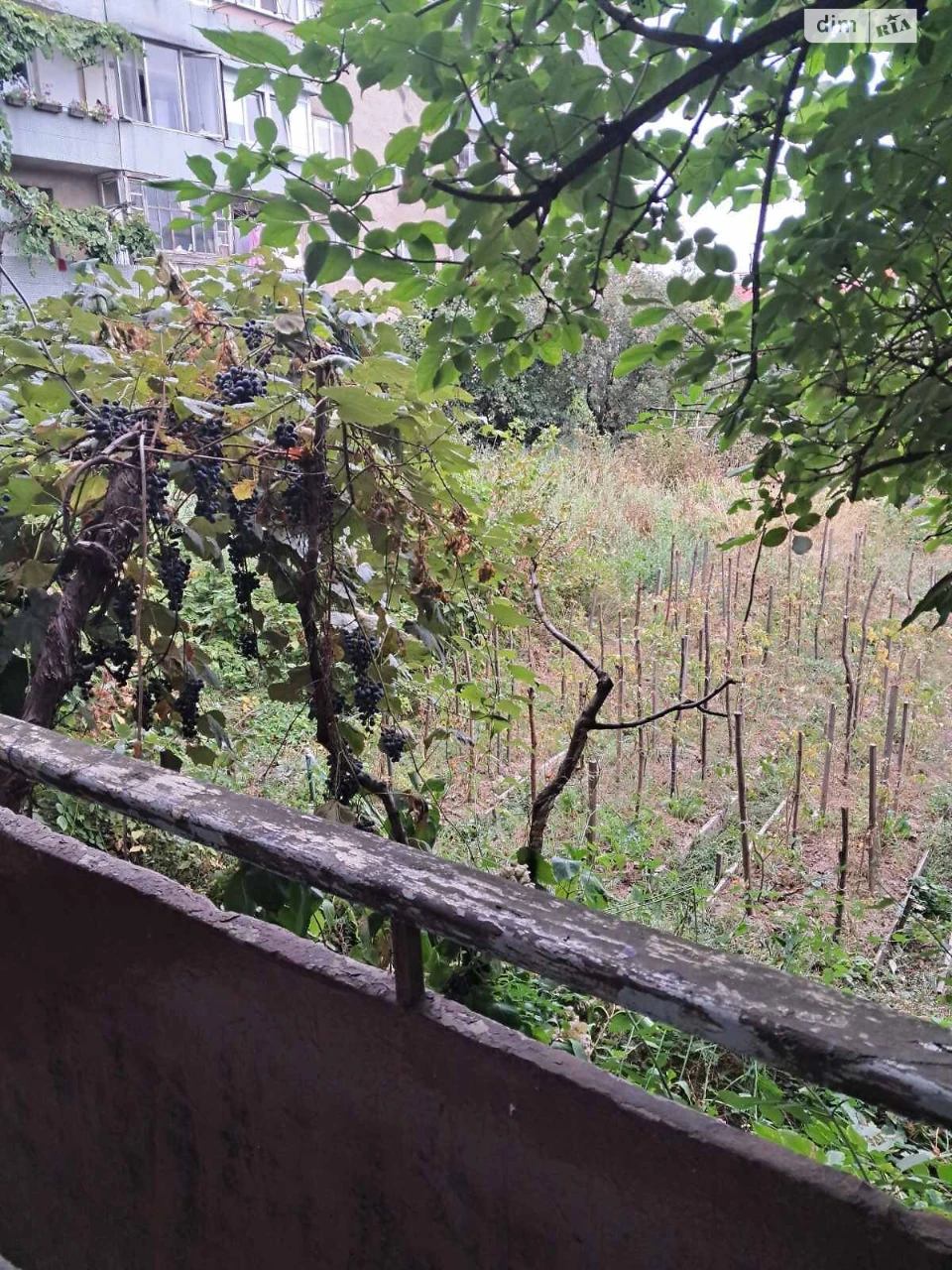 Продаж Квартира Центр