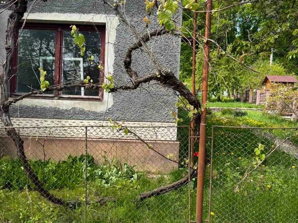 Будинок. Ужгород, Висока вул.
