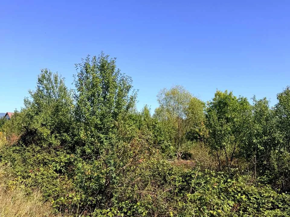 Ділянка. Ужгород, Нижне Солотвино