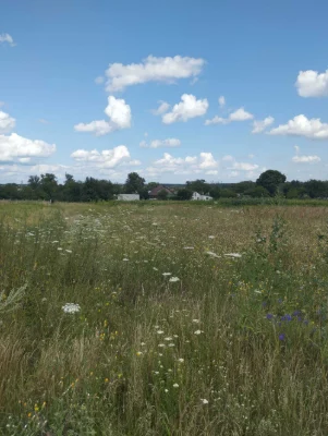 Продам участок в Трисвятскій Слободі  10 соток - під будівни